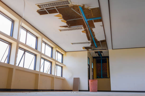 Best Water damage repair service  in Mvern, AL