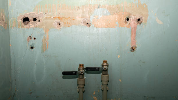 Best Flood restoration services  in Mvern, AL